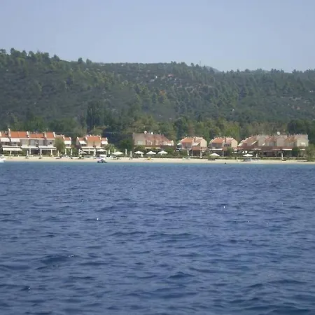 Sansen *
